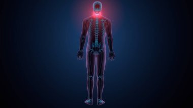 Tiroid hormonları. 3d illüstrasyon