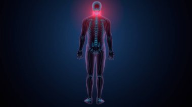 Tiroid hormonları. 3d illüstrasyon