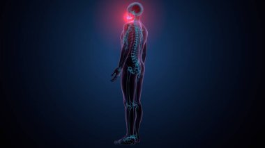 Tiroid hormonları. 3d illüstrasyon