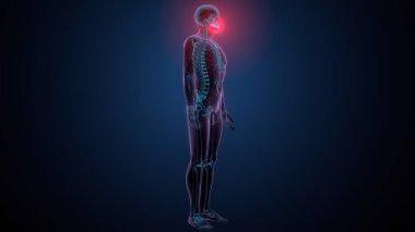 Tiroid hormonları. 3d illüstrasyon