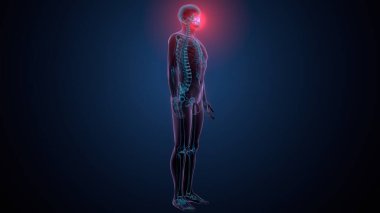 Tiroid hormonları. 3d illüstrasyon