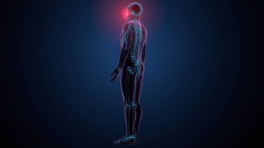 Tiroid hormonları. 3d illüstrasyon