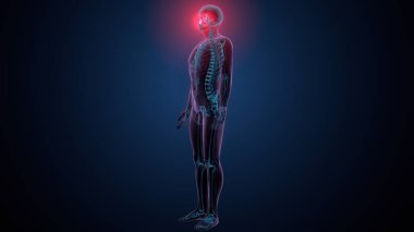 Tiroid hormonları. 3d illüstrasyon