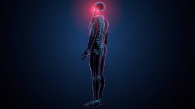 Tiroid hormonları. 3d illüstrasyon