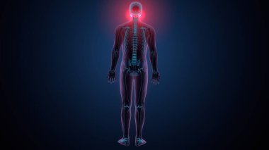 Tiroid hormonları. 3d illüstrasyon