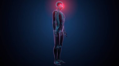 Tiroid hormonları. 3d illüstrasyon