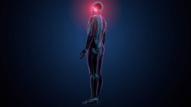 Tiroid hormonları. 3d illüstrasyon