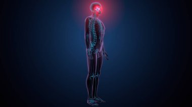 Tiroid hormonları. 3d illüstrasyon