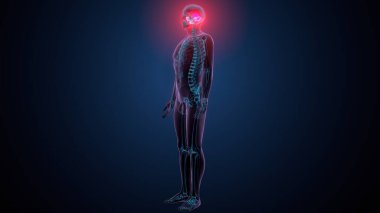 Tiroid hormonları. 3d illüstrasyon