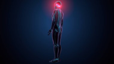 Tiroid hormonları. 3d illüstrasyon