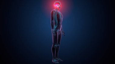 Tiroid hormonları. 3d illüstrasyon