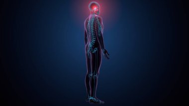 Tiroid hormonları. 3d illüstrasyon