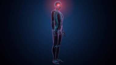 Tiroid hormonları. 3d illüstrasyon