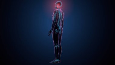 Tiroid hormonları. 3d illüstrasyon