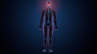 Tiroid hormonları. 3d illüstrasyon