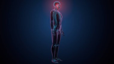 Tiroid hormonları. 3d illüstrasyon