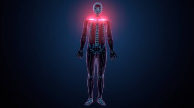 Tiroid hormonları. 3d illüstrasyon