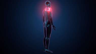 Tiroid hormonları. 3d illüstrasyon