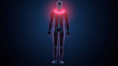Tiroid hormonları. 3d illüstrasyon
