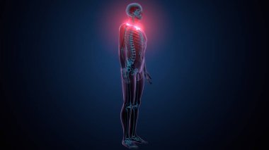 Tiroid hormonları. 3d illüstrasyon