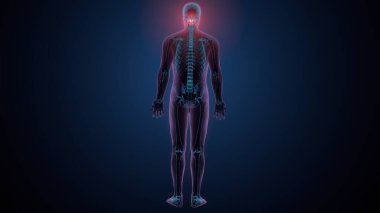 Tiroid hormonları. 3d illüstrasyon