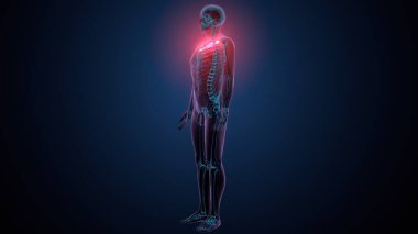 Tiroid hormonları. 3d illüstrasyon