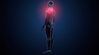 Tiroid hormonları. 3d illüstrasyon