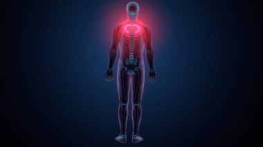 Tiroid hormonları. 3d illüstrasyon