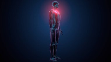 Tiroid hormonları. 3d illüstrasyon