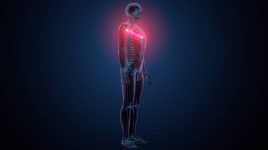 Tiroid hormonları. 3d illüstrasyon