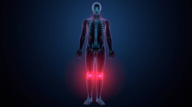 İnsan omurga anatomisi. 3d hazırlayıcı