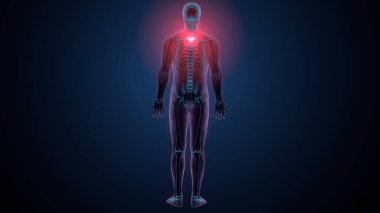 İnsan kafatası çene anatomisi. 3d hazırlayıcı