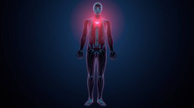 İnsan kafatası çene anatomisi. 3d hazırlayıcı