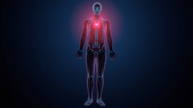 İnsan kafatası çene anatomisi. 3d hazırlayıcı