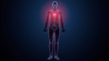 İnsan kafatası çene anatomisi. 3d hazırlayıcı