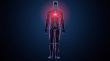 İnsan kafatası çene anatomisi. 3d hazırlayıcı