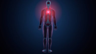 İnsan kafatası çene anatomisi. 3d hazırlayıcı