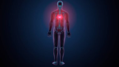 İnsan kafatası çene anatomisi. 3d hazırlayıcı