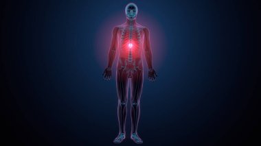 İnsan kafatası çene anatomisi. 3d hazırlayıcı