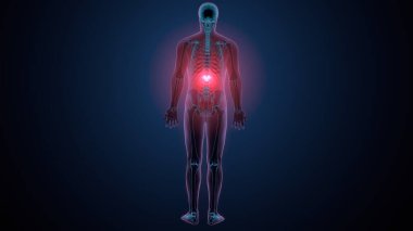 İnsan kafatası çene anatomisi. 3d hazırlayıcı