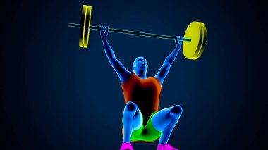 Erkek kalp anatomisi. 3d illüstrasyon