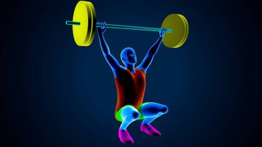 Erkek kalp anatomisi. 3d illüstrasyon