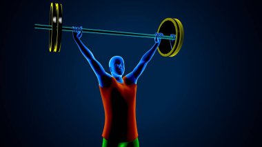 Erkek kalp anatomisi. 3d illüstrasyon