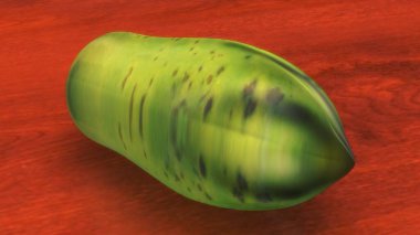 İnsan iskeleti anatomisi. 3d hazırlayıcı