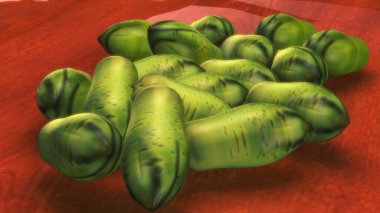 İnsan iskeleti anatomisi. 3d hazırlayıcı