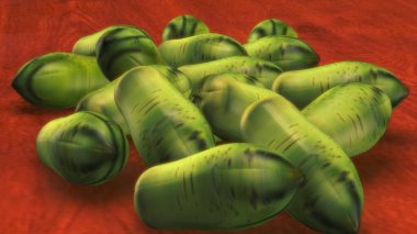 İnsan iskeleti anatomisi. 3d hazırlayıcı