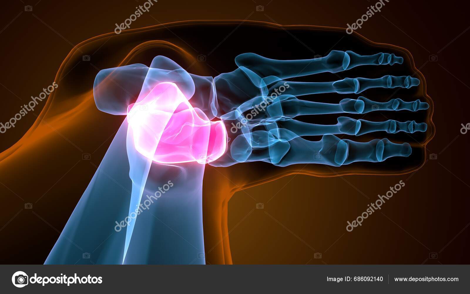 Human Leg Anatomy Bones Illustration — Stock Photo © paihub #686092140