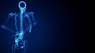 İnsan bacak anatomisi kemikleri. 3d illüstrasyon