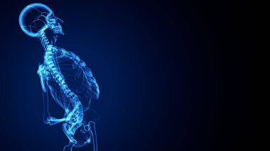 İnsan bacak anatomisi kemikleri. 3d illüstrasyon