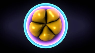 Kadın solunumu ve sperm anatomisi. 3d hazırlayıcı